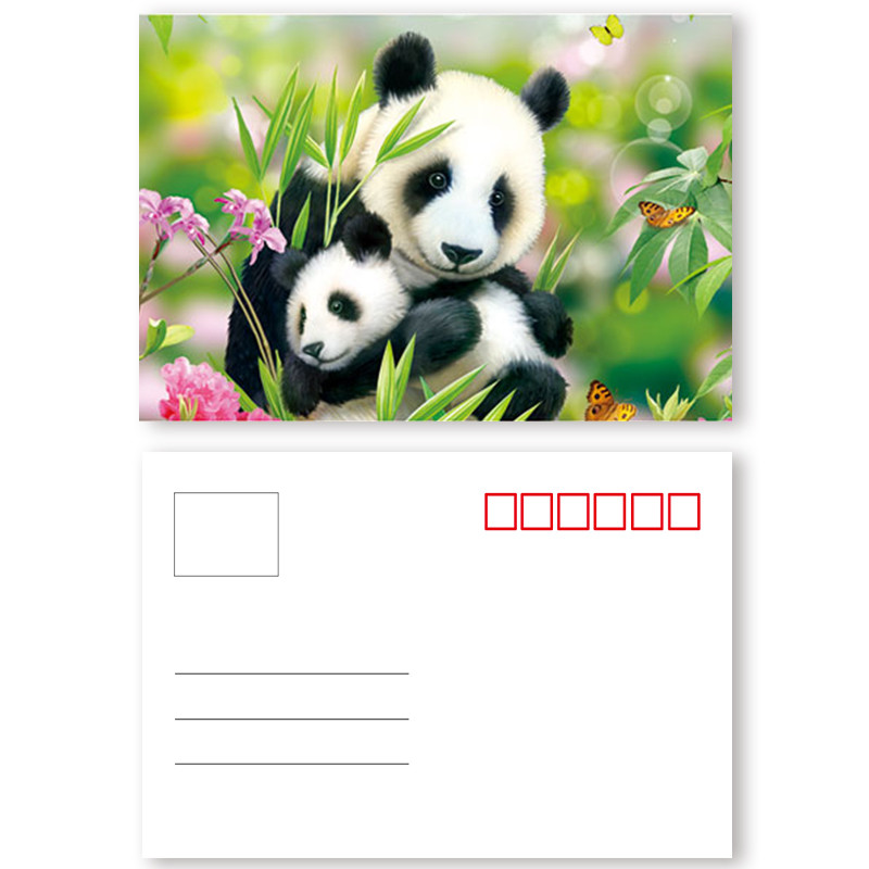 Souvenir 3D Lenticular Postercard Colorful PET + 0.16mm Coated Paper