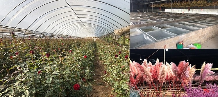 6 Buds/Box 5-6cm Artificial Preserved Rose Heads For Wedding