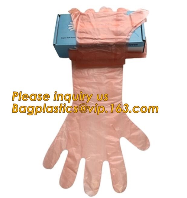 Disposal sharp container for store and dispose of medical waste,Cheap Disposable Plastic Medical Sharp Safe Container 1L