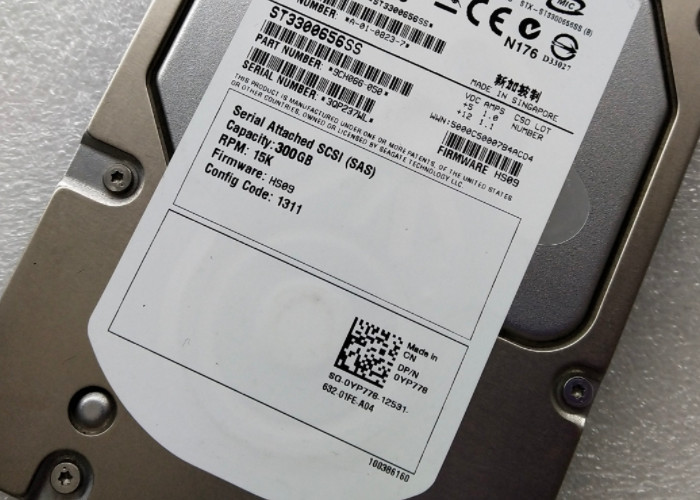 ST3300656SS 300G SAS Dell Hard Disk 15K 3.5 OYP778 R720 Long Lifetime