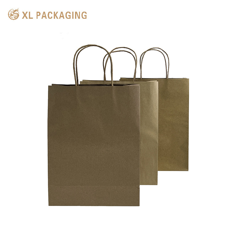 Custom Printed Recycled Kraft Paper Shopping Bag Boutique Style With Your Own Logo