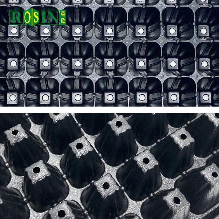 Custom PVC Plastic Black Plastic Seed Trays 288 Hole For Agricultural Planting