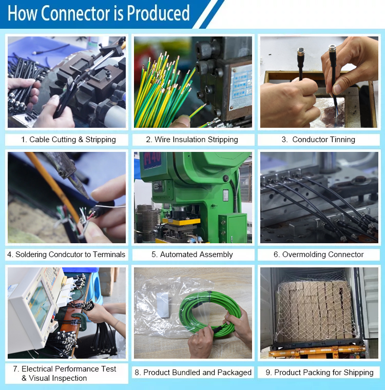 M12 Connector with 8-Pin Waterproof Molded Plug Cable Type Product