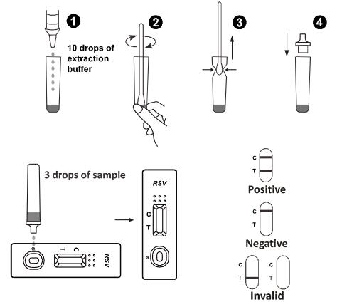 Reliable Fluorescence Immunoassay Test , Respiratory Syncytial Virus RSV Rapid Test Kit