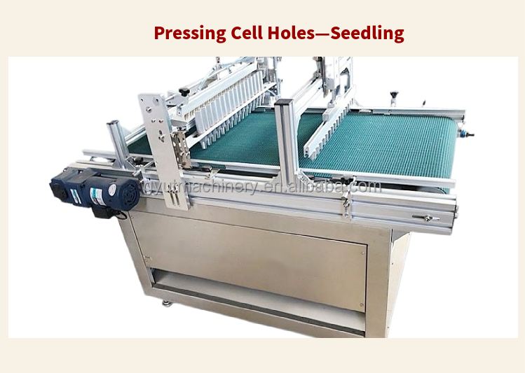 7 Rows Vegetable Tray Seeding Machine for Good Economic Benefits and Easy Operation