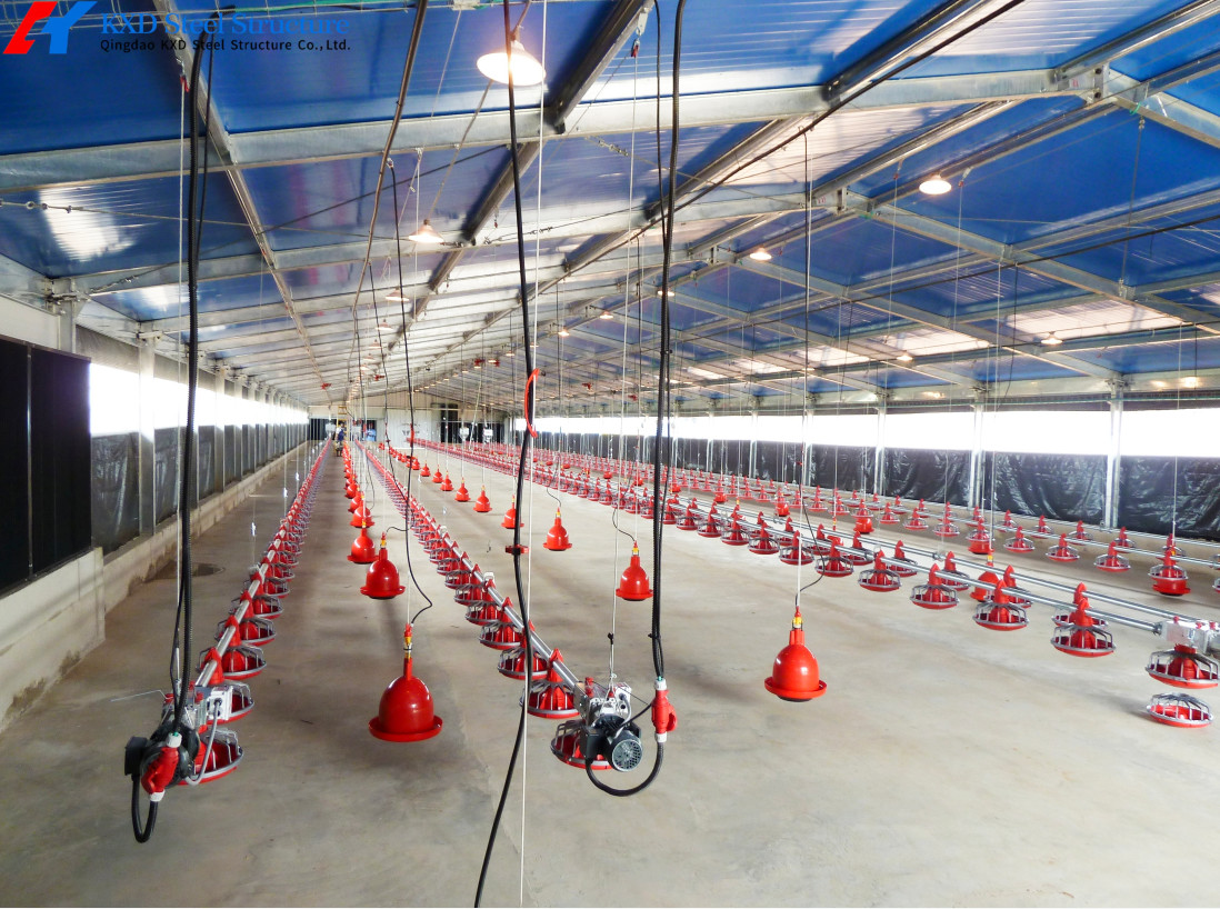 Galvanized Steel Poultry House Onsite Installation Prefab Steel Farm Shed