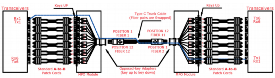 12 Fibers MPO Female To MPO Female Singlemode 3.0mm LSZH MPO Patch Cord