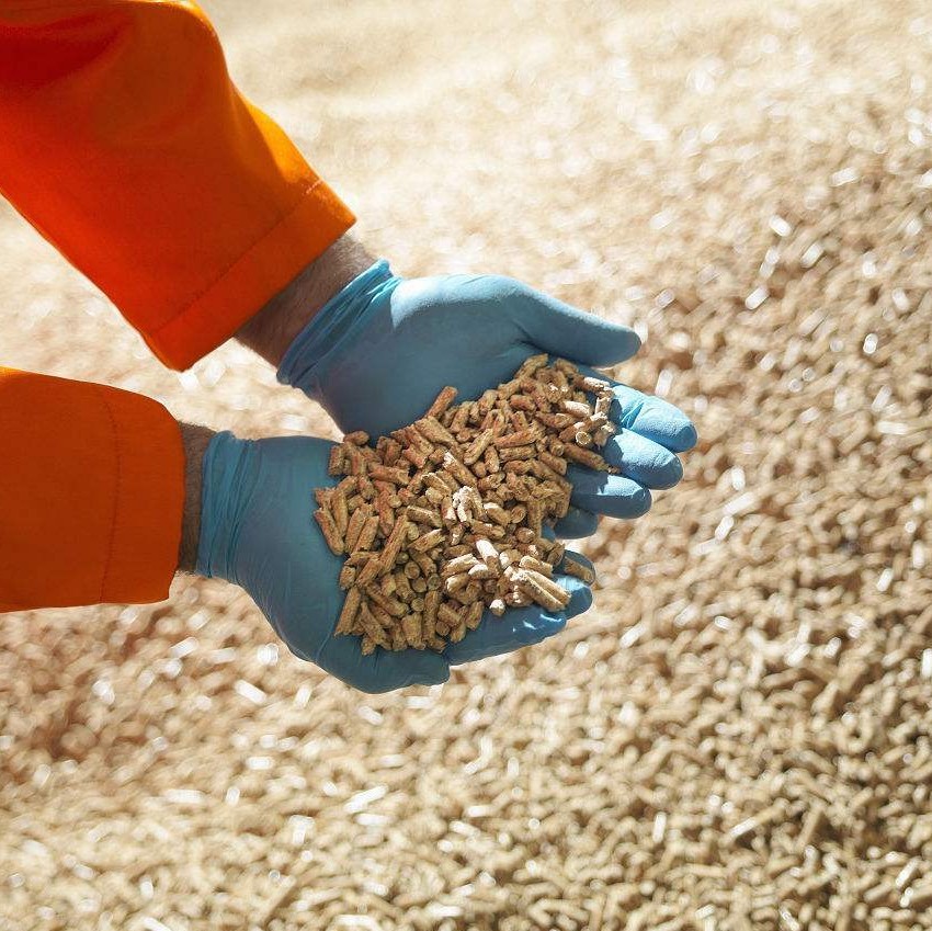 feed pellet machine