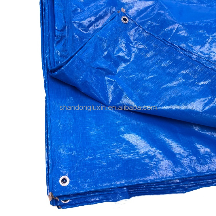 Africa PE Tarpaulin Other Fabric 100% Waterproof Truck Cover Cargo Cover Bache Tarpaulin