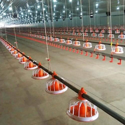 Quality 0.75kw Closed System Of Feeding In Poultry for sale