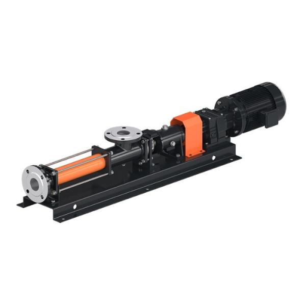 B Type Bearing Housing Pump Industrial Screw Pumps For Industrial Vacuum