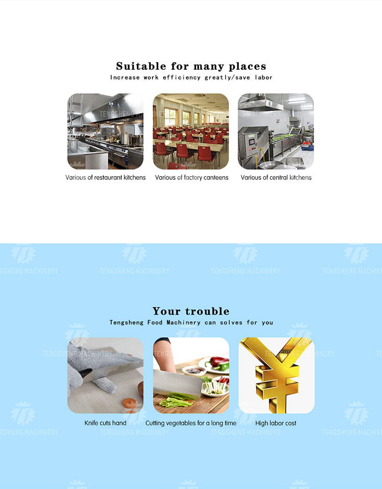 Industrial Electric 800KG/H Meat Processing Machine Beef Lamb Chicken Dicer