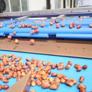 External Defect Detection 1.4 Tons per Hour 6-Lane Palm Dates Sorting Machine