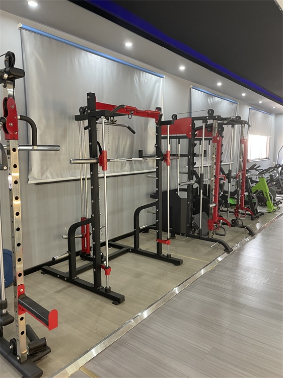 Home Gym Trainer Training Equipment with Weight Bench Barbell Bar Half Squat Rack