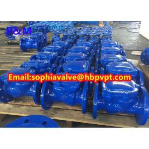 resilient seal PN10/PN16 cast iron swing check valve