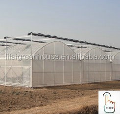 PE Double Film Tunnel Inflatable Greenhouse for All-Weather Protection