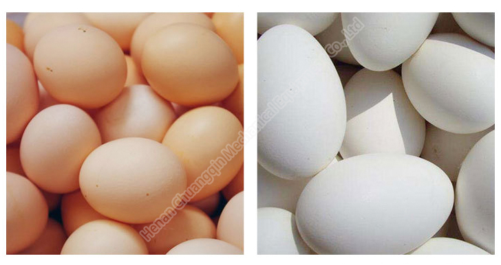 4000pcs/H Automatic Egg Washer Machine Fresh Egg Washing Equipment 304 Stainless Steel
