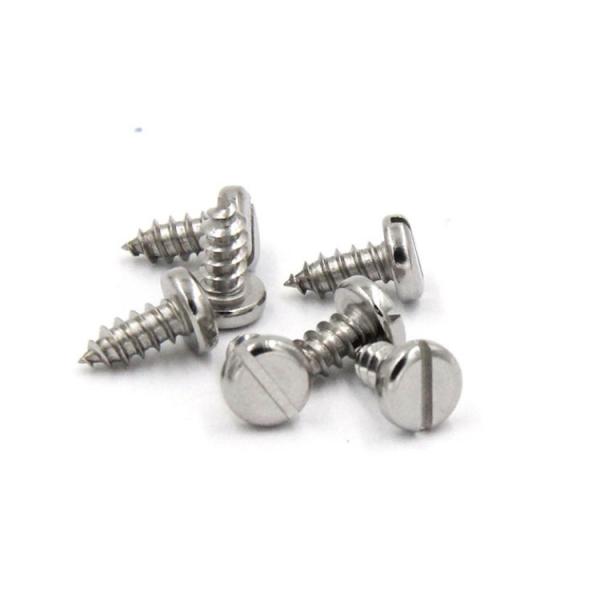 DIN7971 Metric Stainless Steel Slotted Pan Head Security Self Tapping Screw ST2