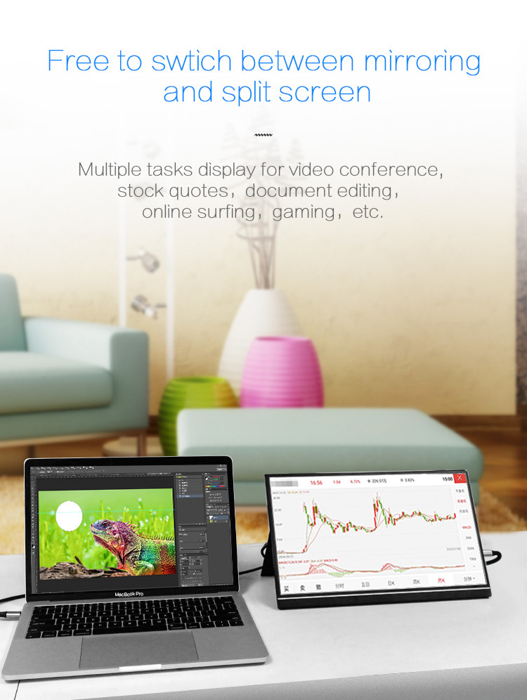 300cd/M2 Multiple OSD Language 1920*1080 14 Inch Portable Monitor