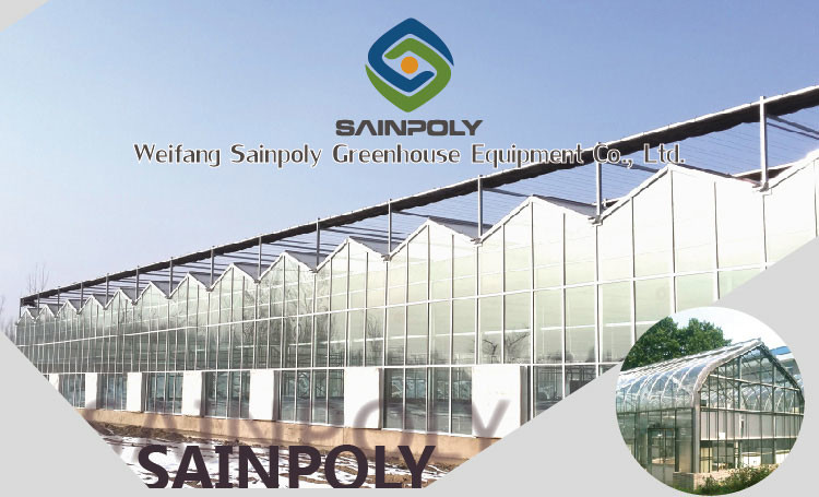 Section 4m Commercial Glass Greenhouse Exquisite Beautiful Galvanized Steel Frame