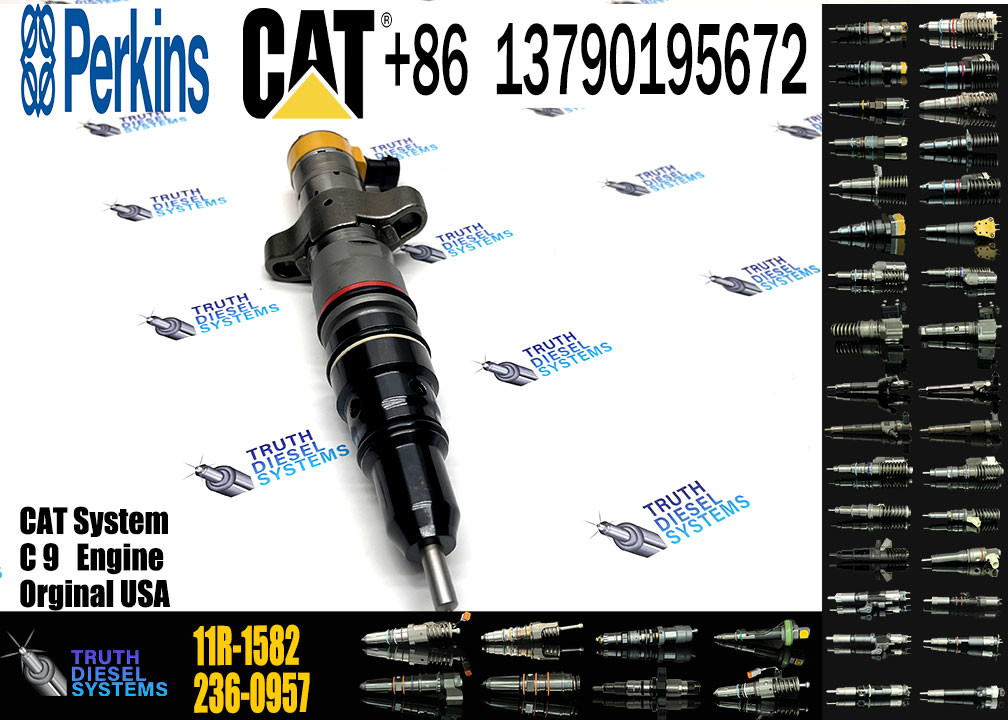 Common Rail Injector Assy 387-9431 387-9439 557-7634 293-4071 10R-7222 10R-4764 577-7633 20R-8064 20R-8846 11R-1582