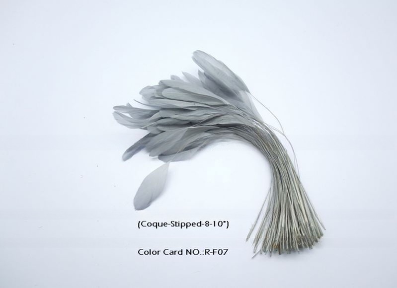 FEDEX Shipping for Millinery Supplies Stripped Coque Feather