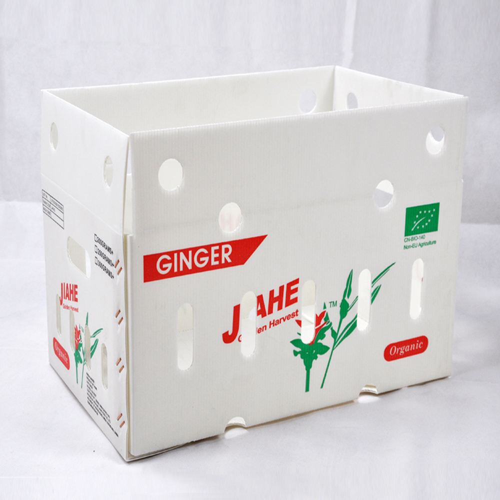 Reusable PP Corrugated Sheet Box Black White
