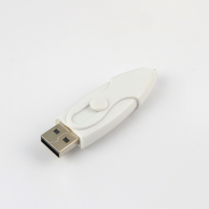 Eco Friendly Plastic Recyclable USB Memory Stick High Speed Writing 1G-1TB