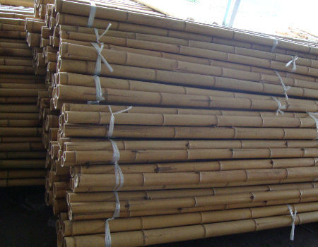 Wholesale Price Natural Moss Plant Pole Moss Stick For Climbing Plants Moss Poles Support