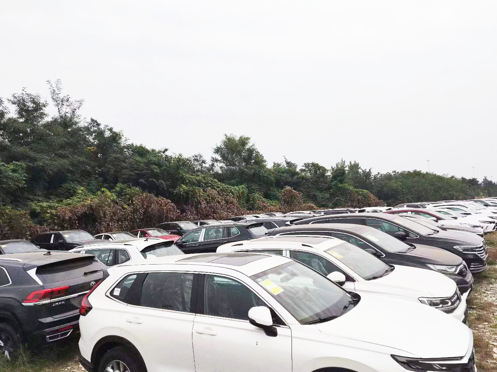 In Stock Dongfeng Hon-da ens1 top 510 km Electric Car EV SUV 5 Door Car 2022 2023 Hon-da ens1 esn1 0km used Electric Car