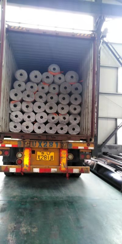 Grass Protection Turf Reinforcement Mesh with HDPE PE Material Length 25m-50m/roll