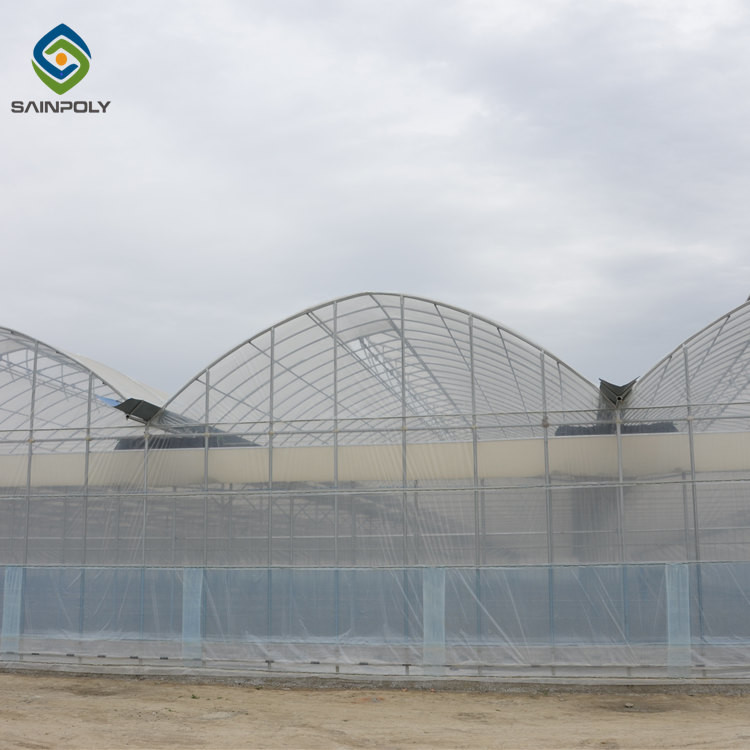 Anti UV ASTM D882 6m Polyethylene Film Greenhouse
