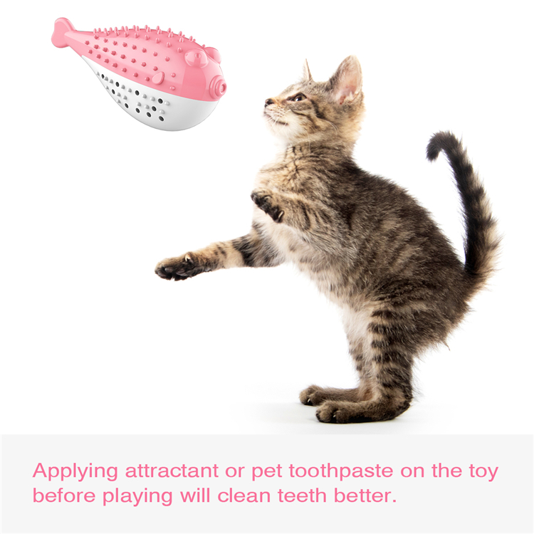 New Cute Pet Cat Toothbrush Toy Catnip Flavor Silicone Simulation Fish Molar Stick Tooth Cleaning Toy Toothbrush