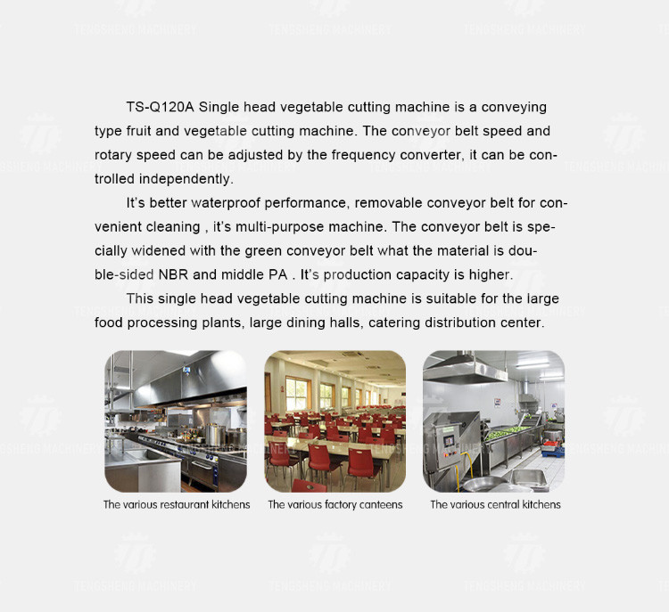 180KG Vegetable slicer large widening conveyor belt vegetable slicer cucumber lemon leaves cut into sections