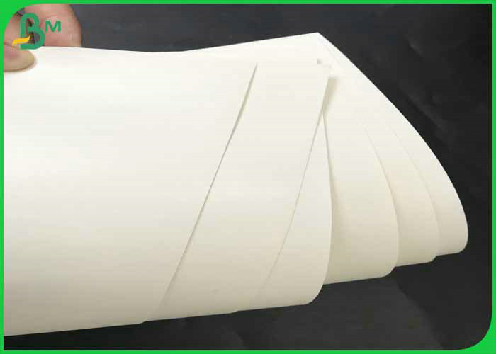Fully Safe & Clean 70*100cm 160gsm +12g PE Cup Paper Roll For Coffee Cup