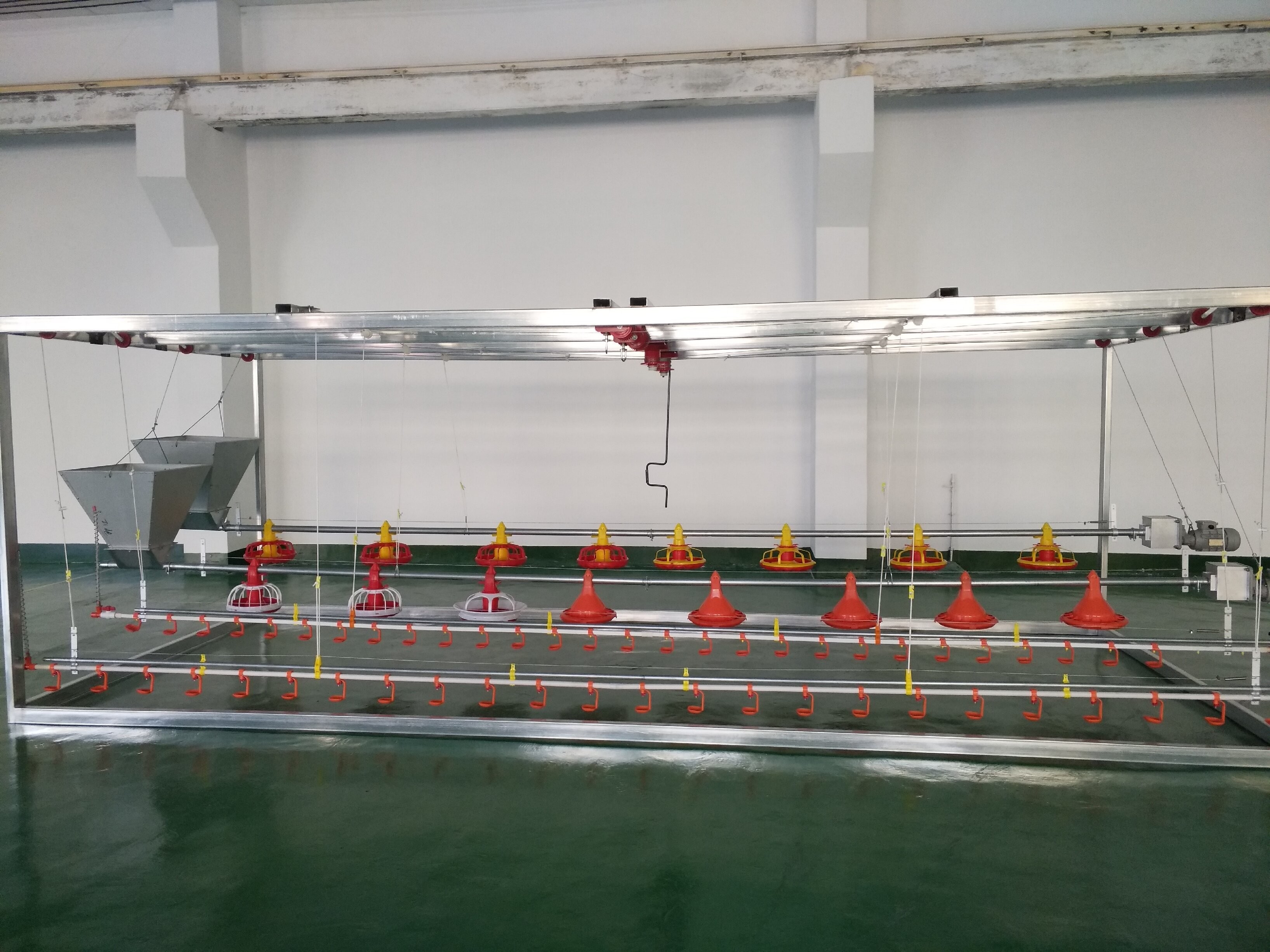 Broiler Automatic Pan Feeding System 380V Automatic Pan Feeder