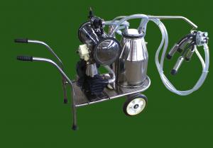 China XD32WY-1 single bucket and oilless Vacuum pump Electric motor mobile milking machine on sale