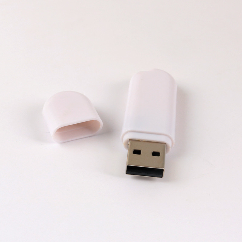 128G Memory Plastic USB Stick with SanDisk Chips and USB 3.1 Port