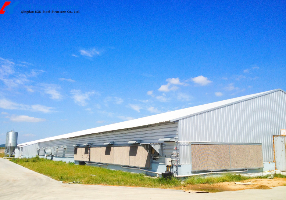 Prefab Steel Structure Chicken Building Shed Broiler Fatten Poultry Farm House