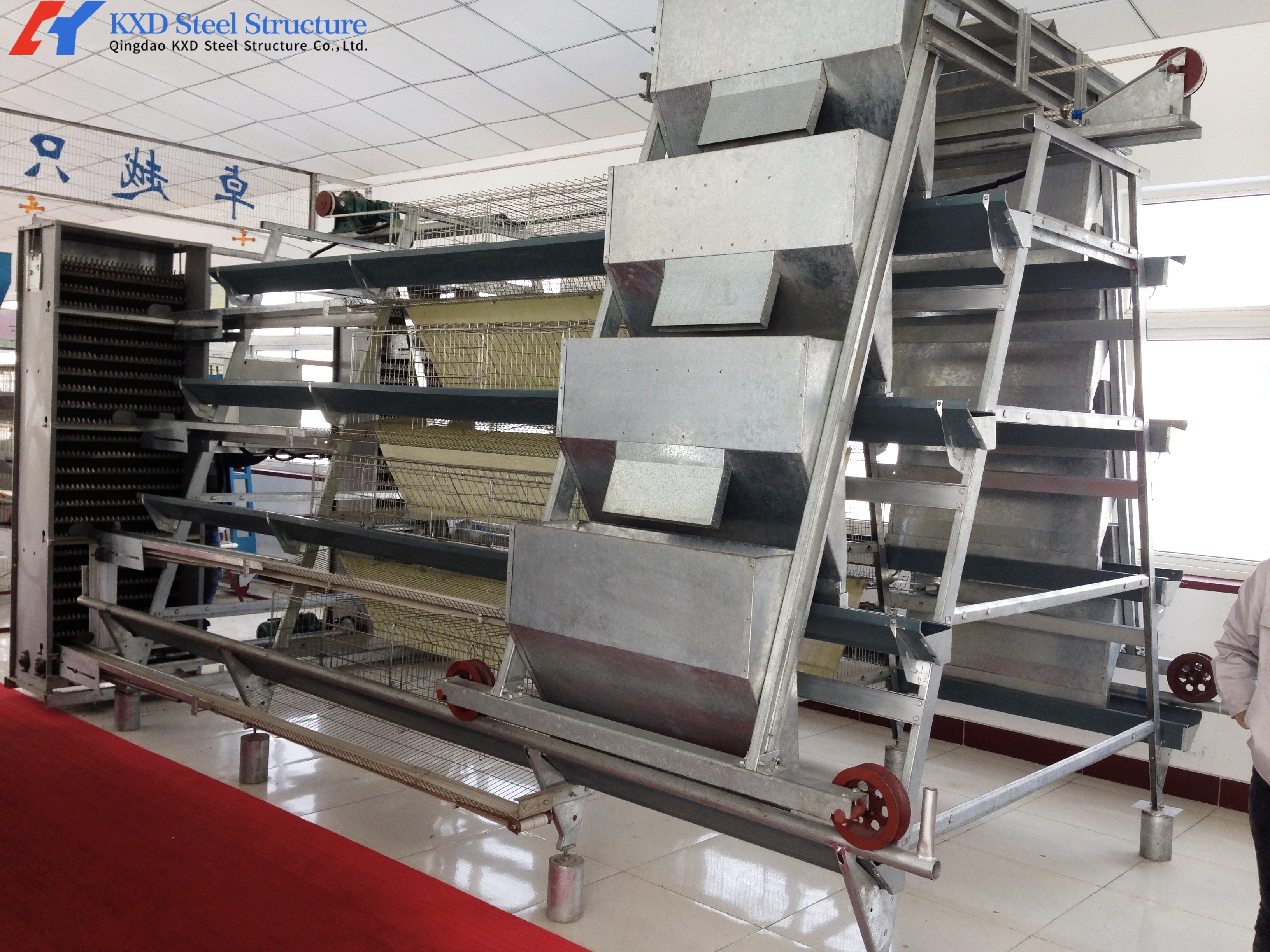 A Type Chicken Egg Laying Equipment Easy Install Automatic Poultry Breeding Equipment