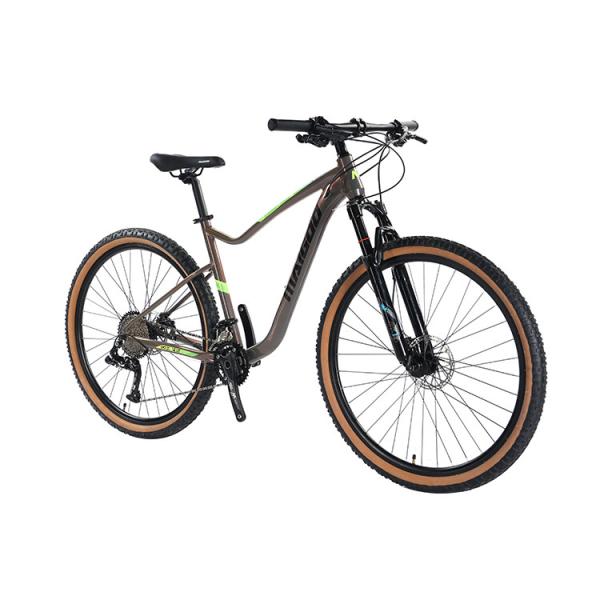 22 Speed Hydraulic Disc Brake Mountain Bike for 29er Aluminum Material and
