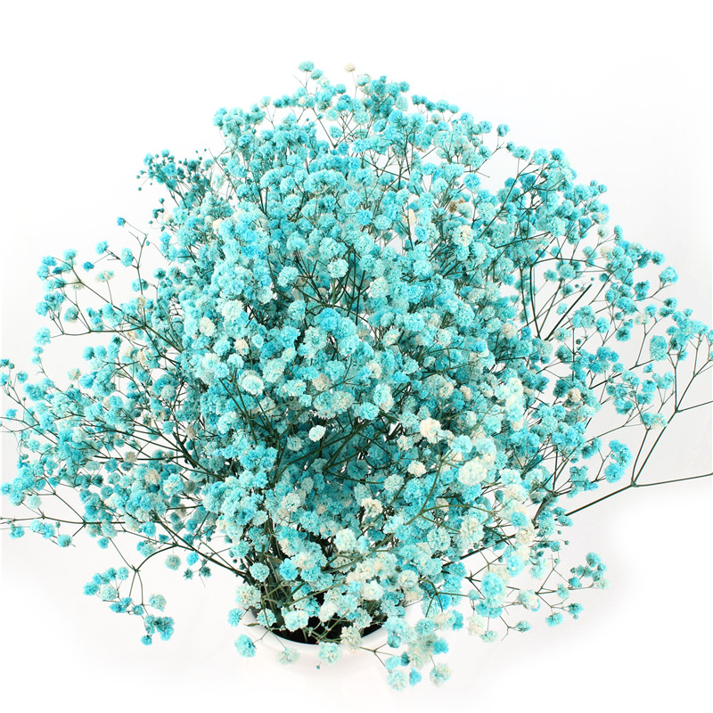 Customized Flower Decoration In Marriage , Preserved Gypsophila Wishing Bottle