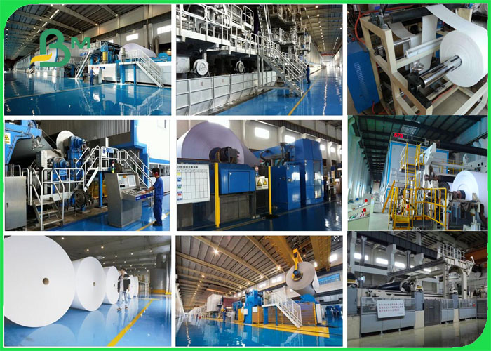 60inch 72inch 80inch High Whiteness Plotter Marker Paper For Shoe Industry