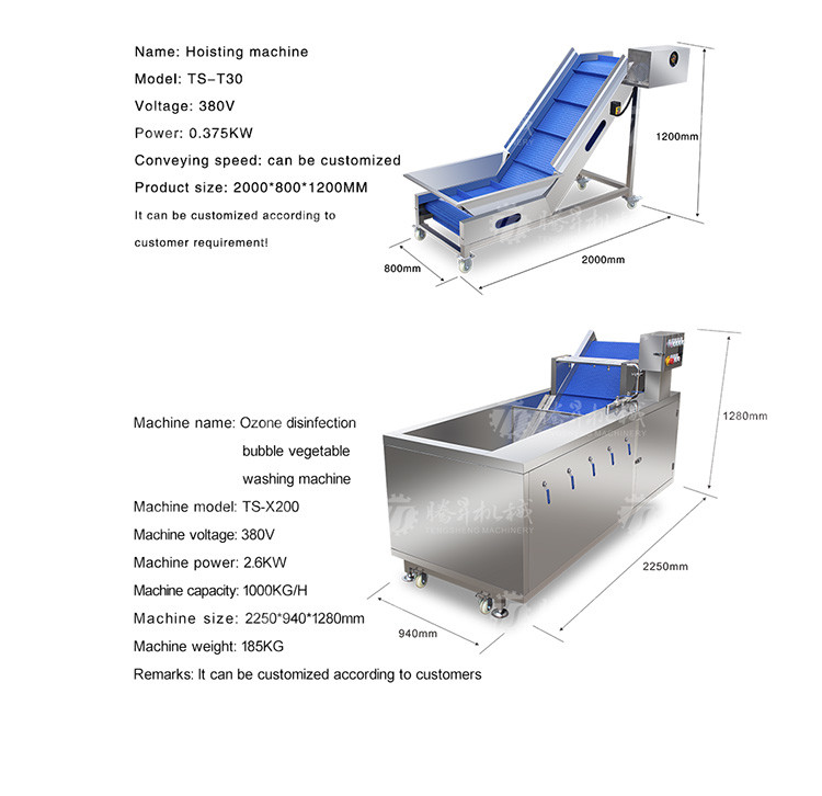 Multifunctional Vegetable And Fruit Processing Line Hair Roller Bubble Cleaning Production Line