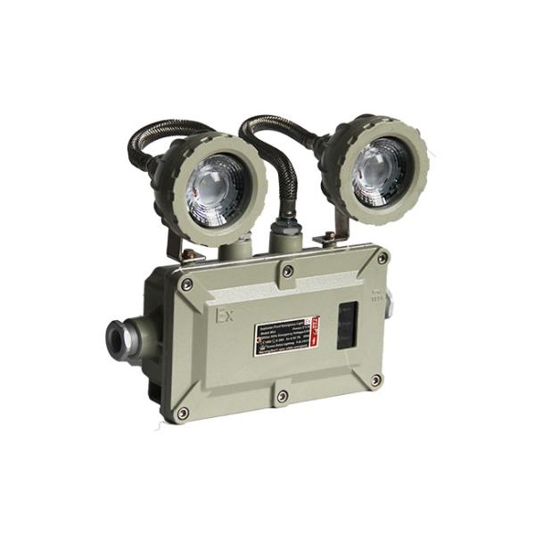 Flameproof Rechargeable Emergency Light – Portable Well Glass Type, Ex d IIB