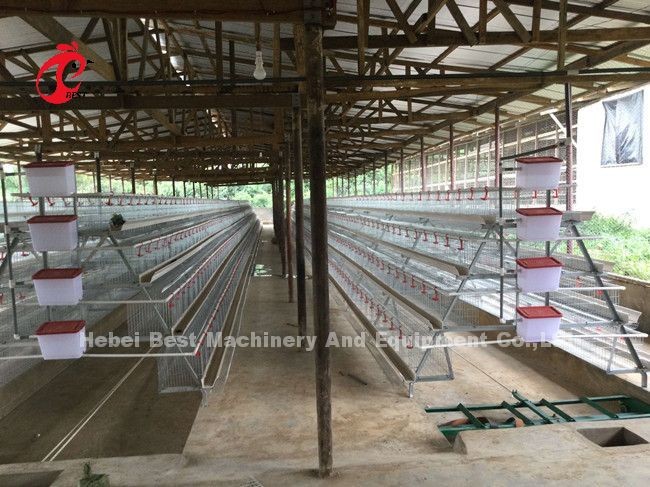 Automatic 120 Birds Poultry Farm Layer Cage Silver Adela