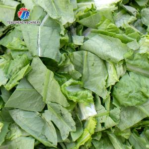 Pork Slices Sliced cooked pork head Cut the snow ear cooked meat slicer machine