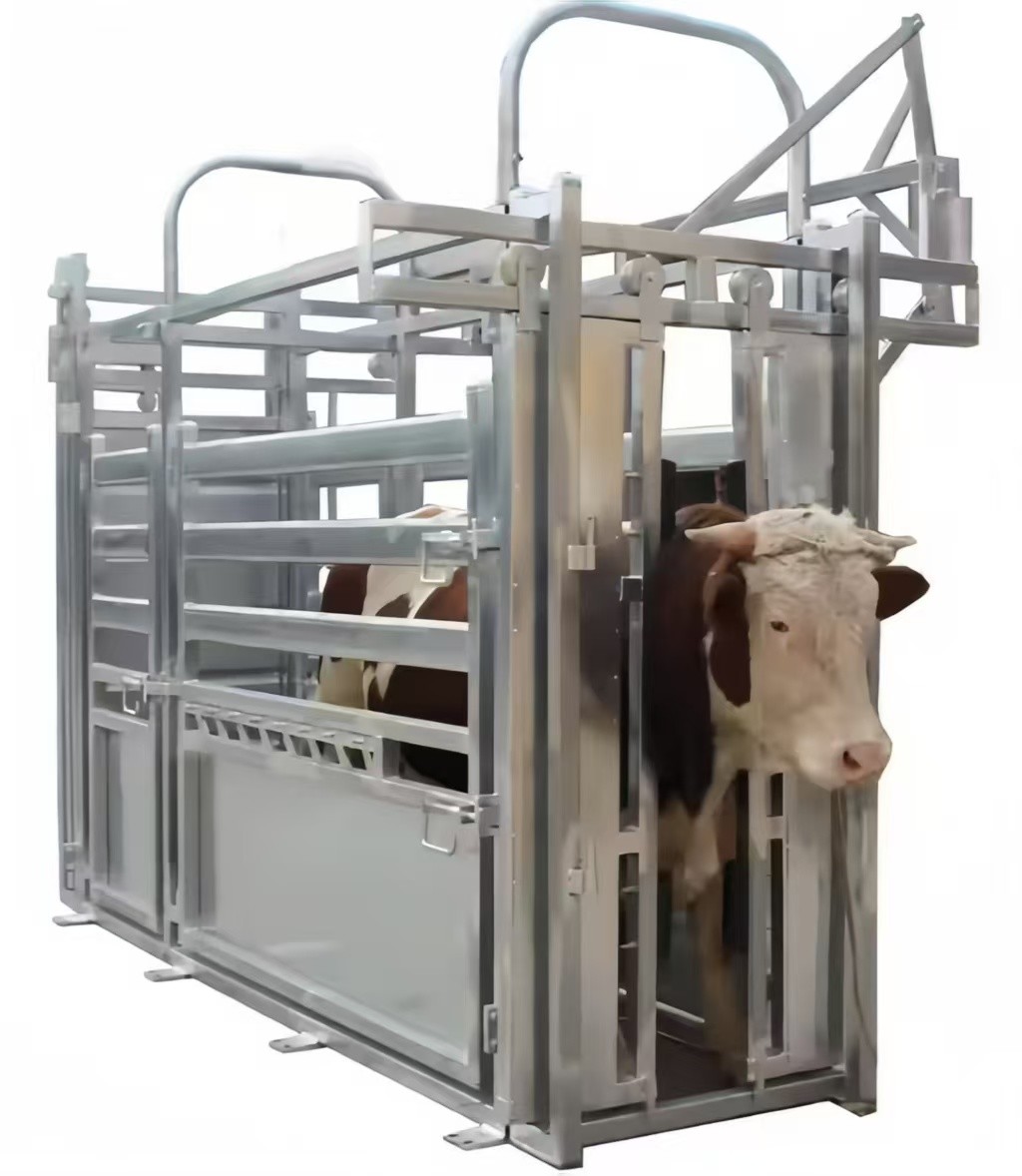 Easy Install Metal Cattle Shed Onsite Installation Steel Animal Husbandry Equipment
