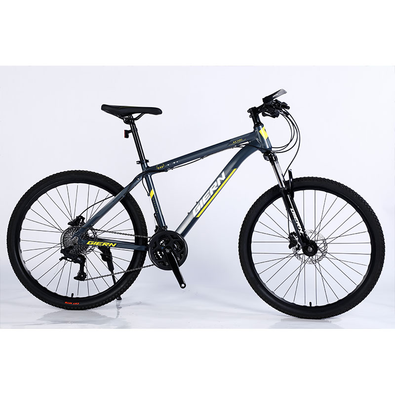 Double Wall Rim Cnc Lady Mountain Bike for Smart Riding Yinxing Hydrallic Disc Brake