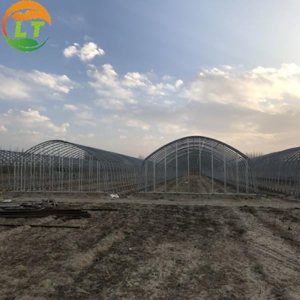 Insulation Agricultural Plastic Film Greenhouse for Single-Span at in 6m 8m 10m